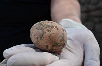 ویدئو؛ کشف تخم‌‌‌مرغ هزار ساله در کاوش‌های باستان‌‌شناسی در اسرائیل