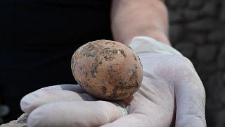 Israel Antiquities Authority unveils 1000-year old chicken egg in excavations