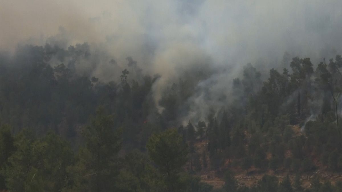 Wildfire, flames and smoke rising from burning trees