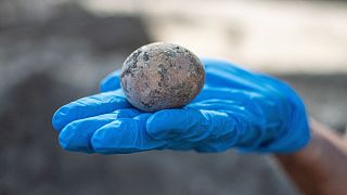 İsrailli arkeologlar, Yavneh kentinde yaptıkları kazı çalışması sırasında Abbasi döneminden kalma bin yıllık bir tavuk yumurtası buldu