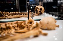 El Museo Nacional de Dinamarca reune los restos de dos vikingos familiares entre sí