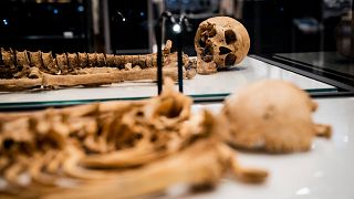 El Museo Nacional de Dinamarca reune los restos de dos vikingos familiares entre sí