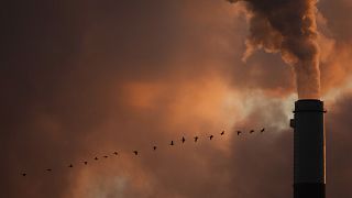 In this Jan. 10, 2009, file photo, a flock of geese fly past a smokestack at a coal power plant near Emmitt, Kansas.