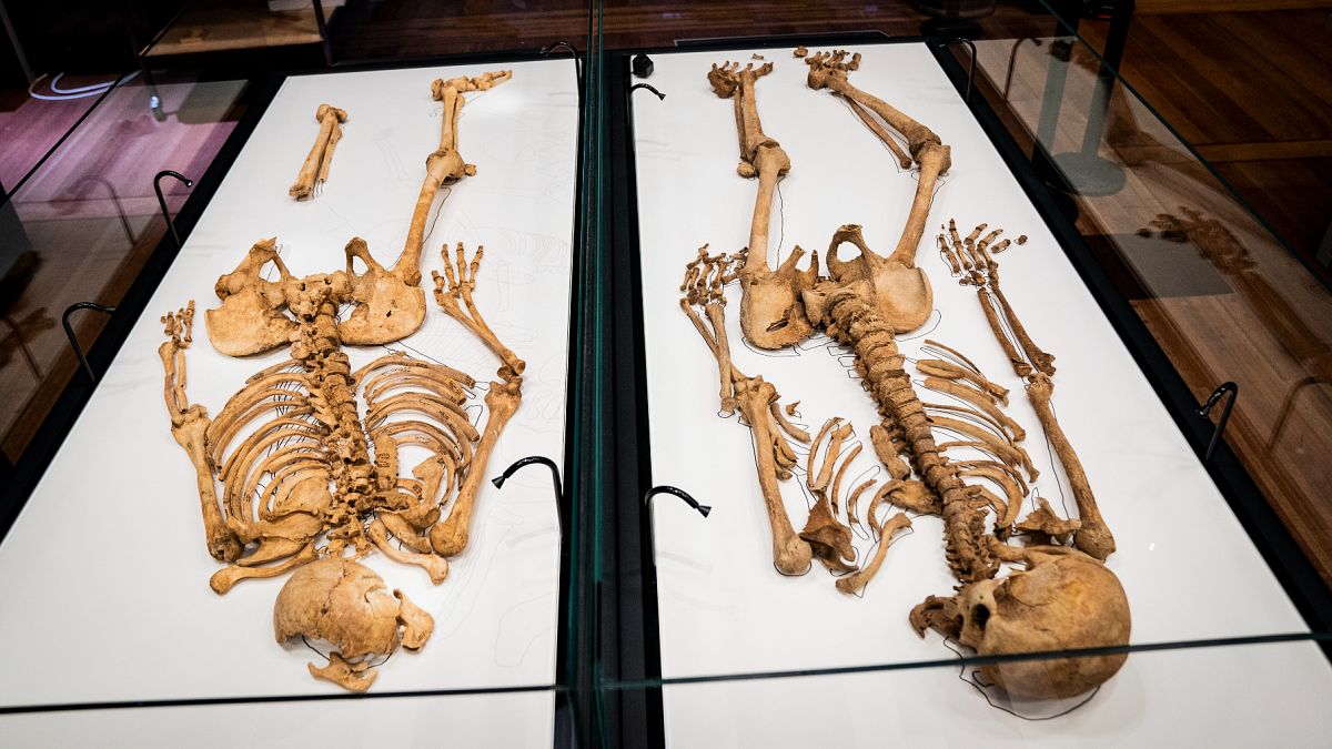 DNA analizleri sonucu akraba oldukları anlaşılan iki Viking savaşçısı Danimarka'nın başkenti Kopengah'da sergilenecek