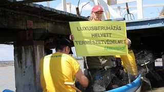 Udvaros Dorottya a Greenpeace akcióján a Fertő-tónál