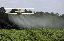 Suiza vota este domingo sobre la eliminación de los controvertidos pesticidas sintéticos