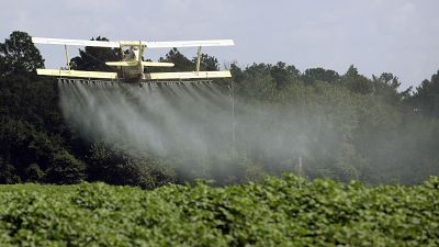 Image d'archive : épandage de pesticides aux Etats-Unis