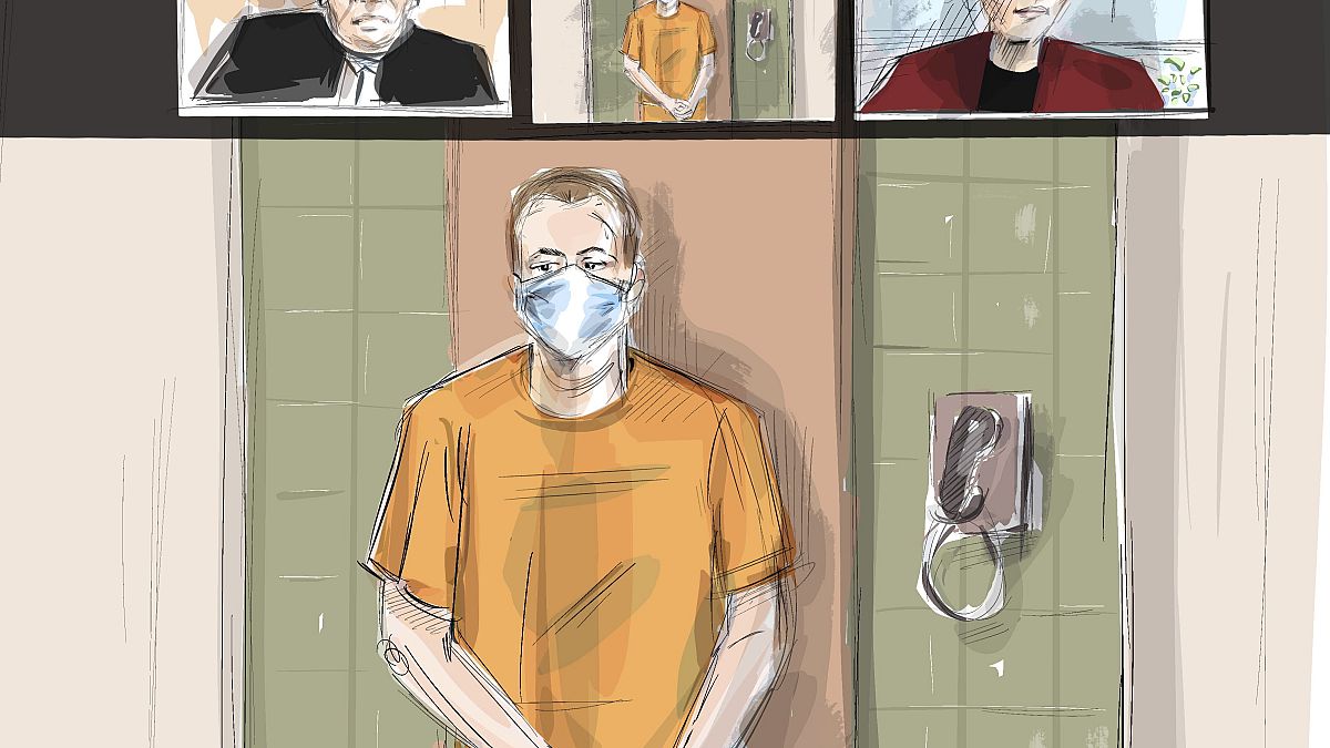 In this courtroom artist's sketch, Nathaniel Veltman makes a virtual appearance in court