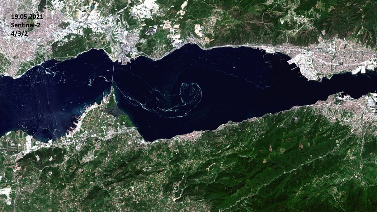 İTÜ,  Marmara Denizi'nde ortaya çıkan müsilajı (deniz salyası) uydu aracılığıyla uzaydan görüntüledi
