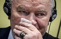 La confirmation de la condamnation de Ratko Mladic "n’est qu’un chapitre de la justice"