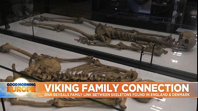 Separated for 1,000 years, two Viking warriors from the same family are reunited at Denmark's National Museum.