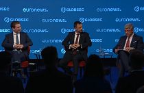 Sebastian Kurz a Euronews: "Lo stato di diritto dev'essere la base"