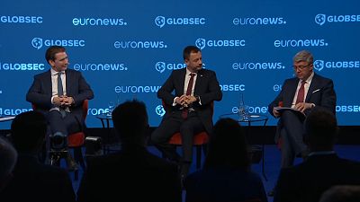 GlobSec-2021 : о фонде ЕС, "зеленой" экономике и солидарности