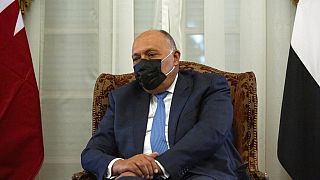 Mısır Dışişleri Bakanı Samih Şukri