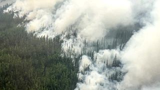 Лесной пожар в Иркутской области