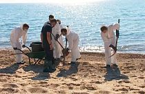 Bombeiros limpam praias da Córsega