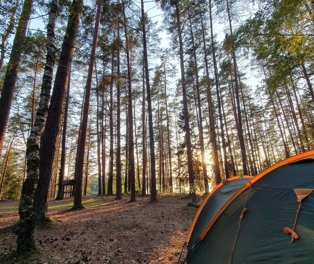 Camping in Lithuania: A showcase of natural beauty and cultural ...