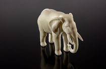 An elephant-friendly alternative to ivory, developed by TU Wien and Cubicure.