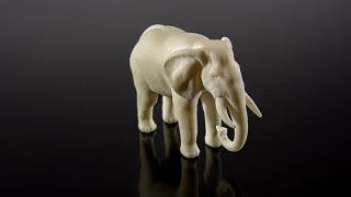 An elephant-friendly alternative to ivory, developed by TU Wien and Cubicure.