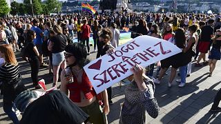 Parlamenti döntés előtti tüntetés a pedofilellenes jogszabály módosításai ellen Budapesten