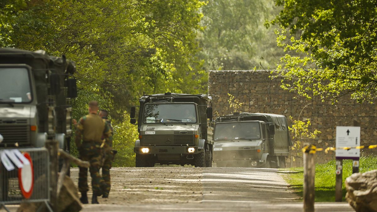 Belgian military carry equipment at the entrance of the National Park Hoge Kempen in Maasmechelen.