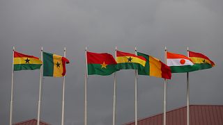 West African leaders agree new single currency plan