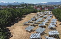 Unical: la transición energética de uno de los campus más ecológicos de Europa