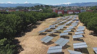 In Calabria uno dei campus più verdi d'Europa