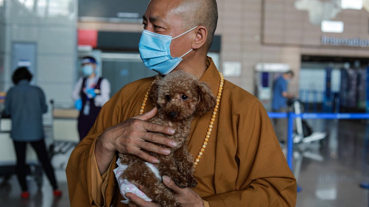 زيانغ مودعاً أحد الكلاب التي سيرسلها إلى الولايات المتحدة