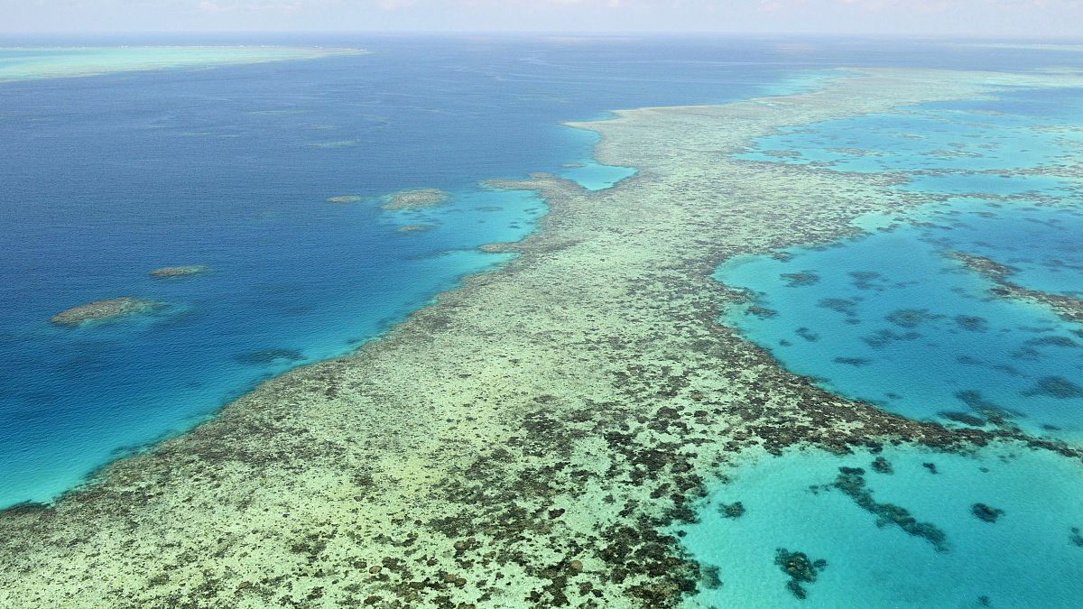 This aerial photos shows the Great Barrier Reef in Australia on Dec. 2, 2017. 