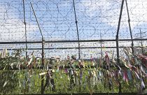 Dél-koreai katonák a lezárt határ túloldalán