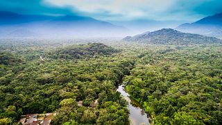 The wild and remote jungle in Belize