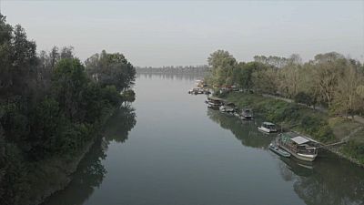 Сохранить биоразнообразие реки По
