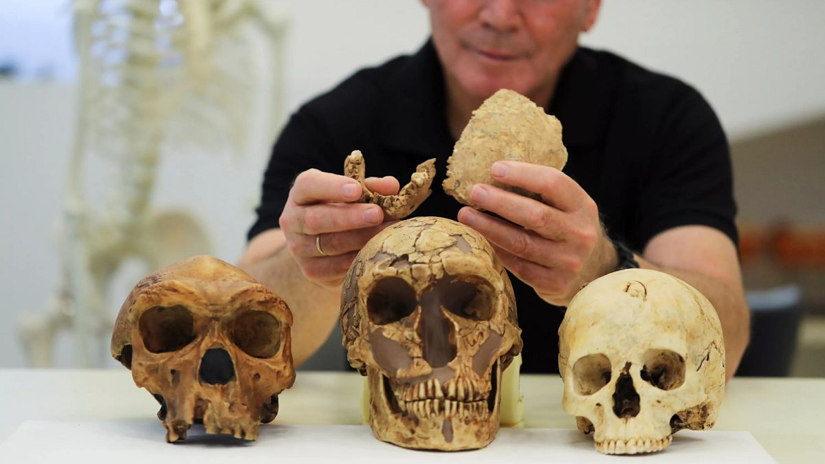 Profesör Israil Hershkovitz elinde "Nesher Ramla"ya atfedilen iki parça fosilleşmiş kemik tutuyor
