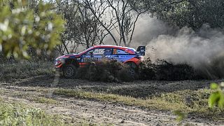 Neuville leads the Safari Rally Kenya as Evans and Sordo crash out