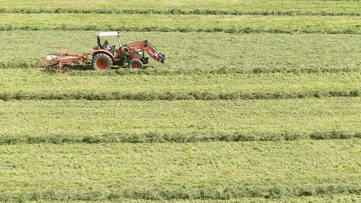 Un tracteur dans un champ à Larceveau-Arros-Cibits, dans le sud-ouest de la France, le 27 mai 2021