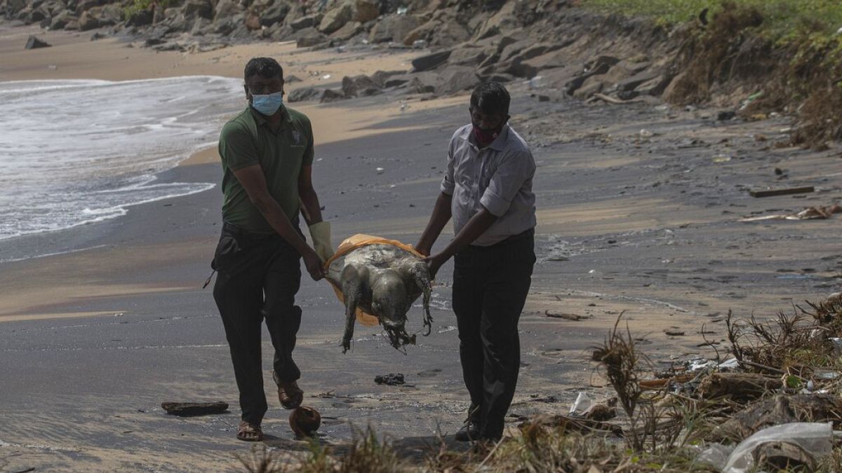 Környezeti katasztrófa Srí Lanka partjainál