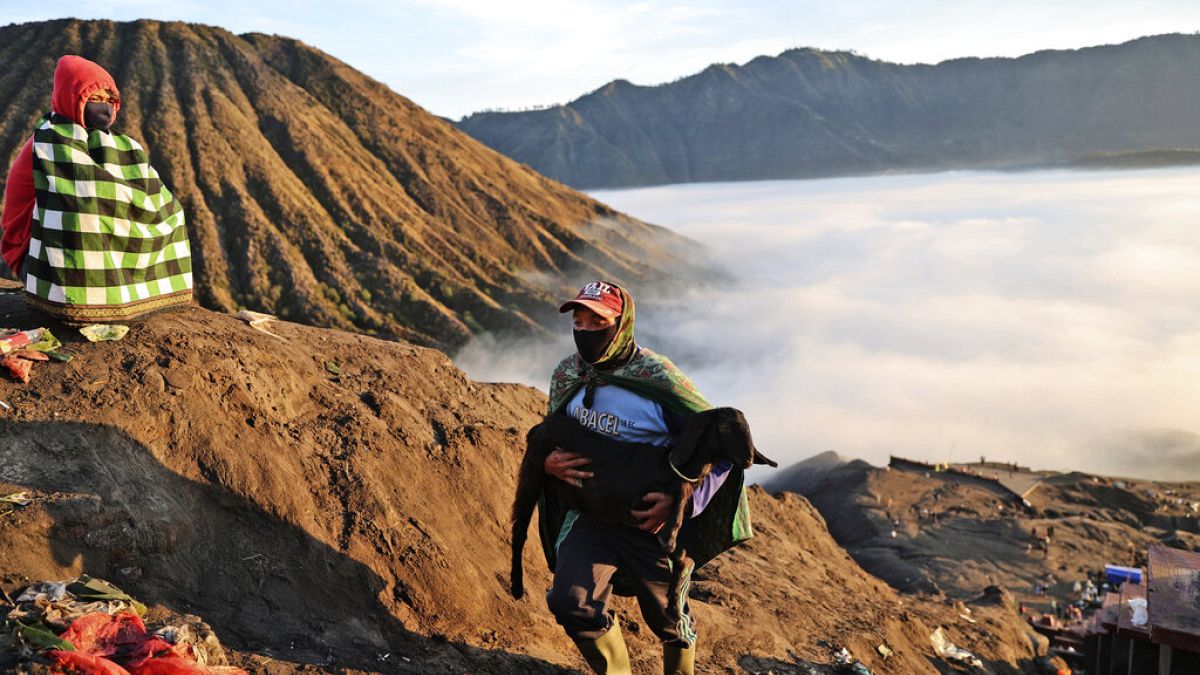Hindu worshippers carries goat as offering on Mount Bromo