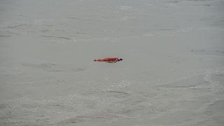 بقايا جثة طافية على وجه نهر الغانج