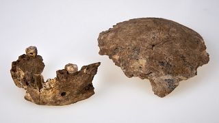 The human ancestor mandible and skull discovered in Neher Ramla, Israel