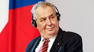 Zeman was responding to a question about a law passed in Hungary which bans portrayals of homosexuality.
