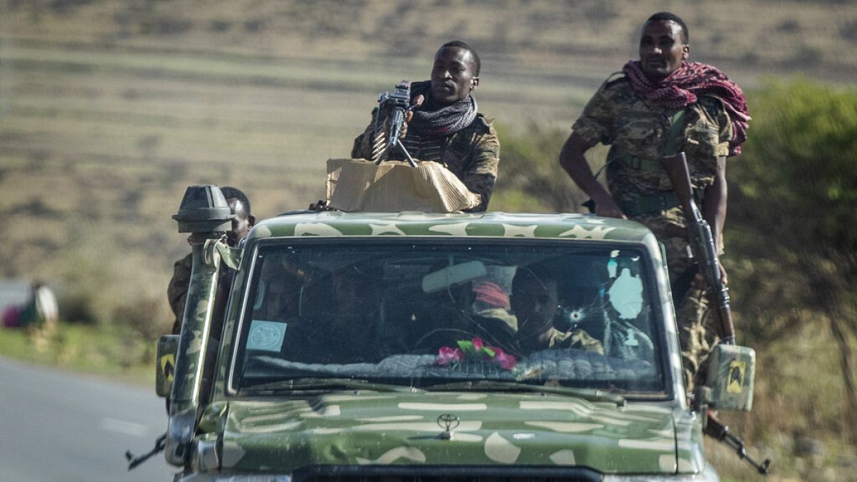 Etiyopya ordu güçleri (Arşiv)