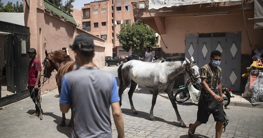 Morocco Reopens Tourism After Robust Vaccination Drive Africanews   1024x538 Cmsv2 1971e875 Fbf9 5f7d 9829 4cc8dda5e027 5815256 