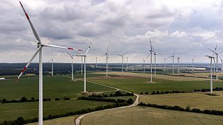 Almanya'nın Frankfurt kenti yakınlarında bir rüzgar çiftliği
