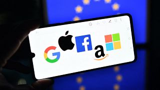 The 'Big Four' tech companies - all based in the US - have already been hit by digital services taxes in France and Spain.