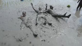 Nepal farmers jump into muddy fields to celebrate rice festival