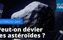 Vue d'artiste d'un astéroïde