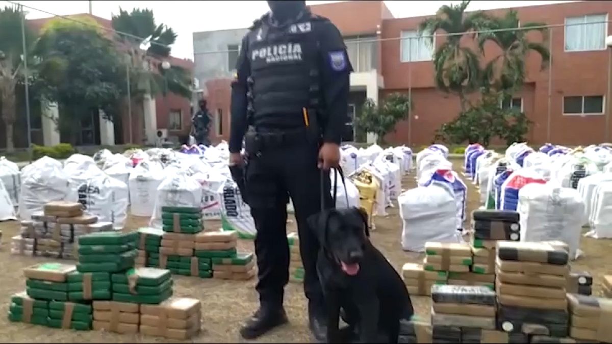 Das in Guayaquil sichergetsellte Kokain wird schwer bewacht