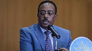 Ethiopie : appel du pied aux forces du TPLF pour le cessez-le-feu