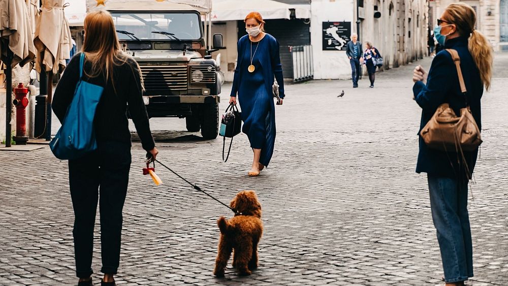 The top 10 dog-friendly city breaks in Europe for a furry adventure